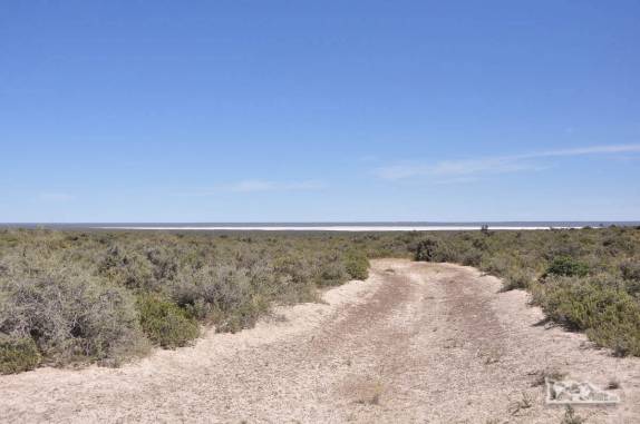 As rústicas estradas da Península Valdés, no litoral da  patagônia argentina